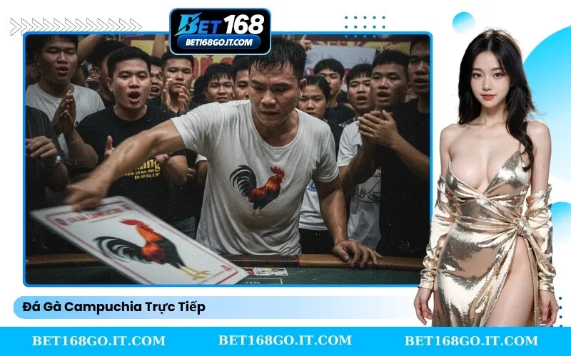 Đá Gà Campuchia Trực Tiếp