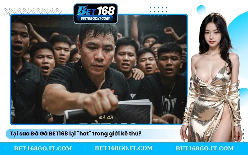 Tại sao Đá Gà BET168 lại hot trong giới kê thủ
